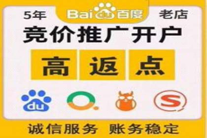 竞价推广的技巧与案例分享